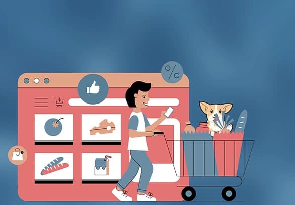 Blogs preview for E-Commerce Website Development
