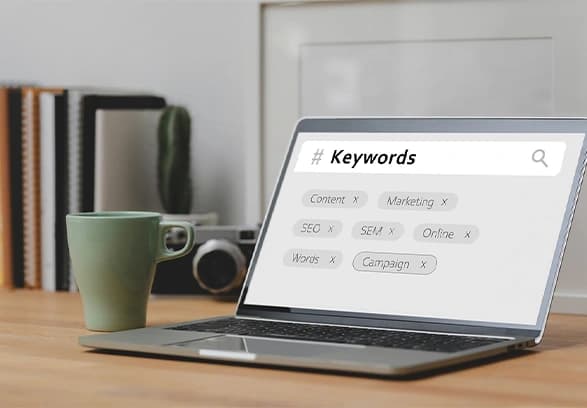 Preview For Local SEO Services