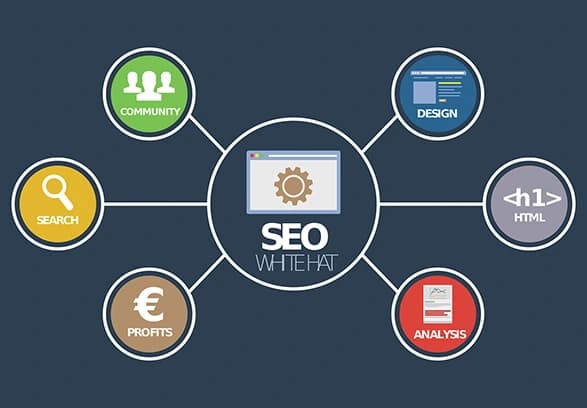 Preview For Professional On-Page SEO Services