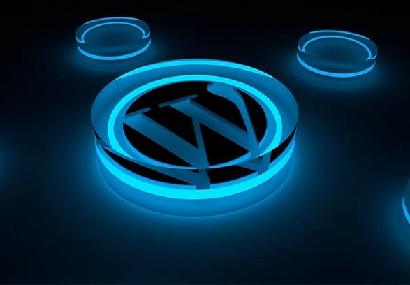Customizing WordPress themes and brand colors